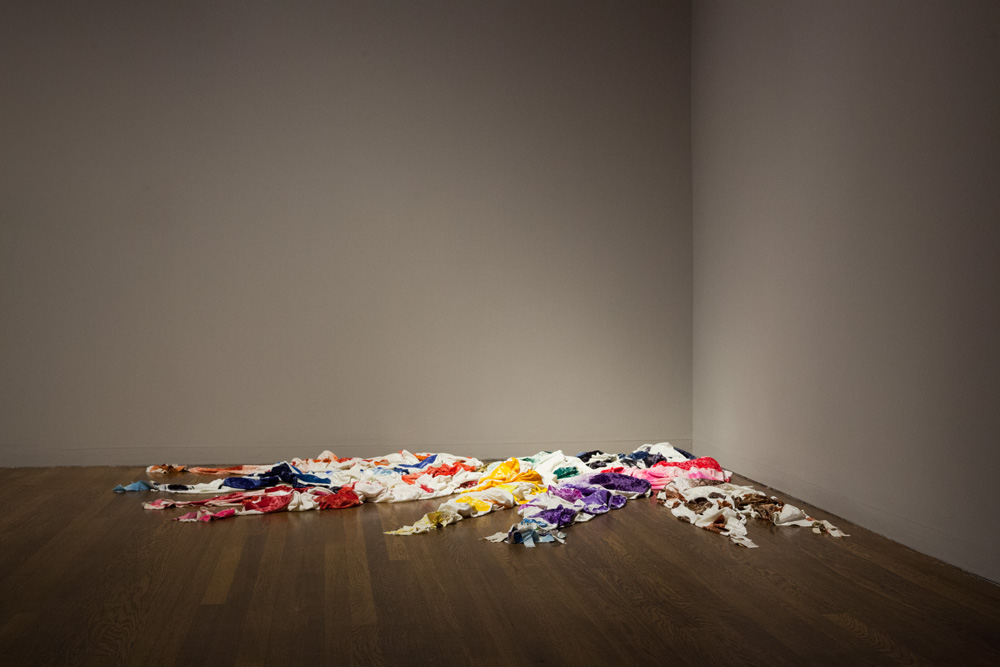 Polly Apfelbaum - Fine Flowers in the Valley (White Spill)